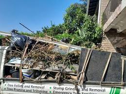 Best Hoarding Cleanup  in Emmon, AK